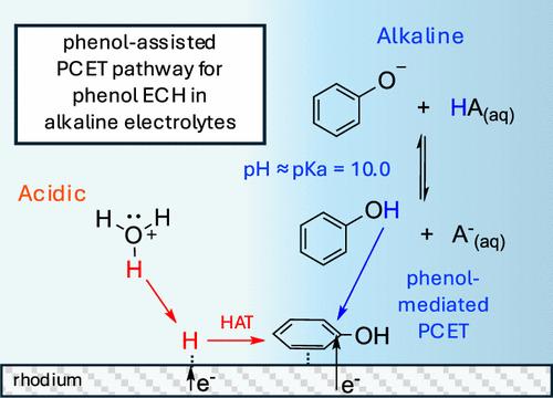 pH-Mediated Solution-Phase Proton Transfer Drives Enhanced Electrochemical Hydrogenation of Phenol in Alkaline Electrolyte