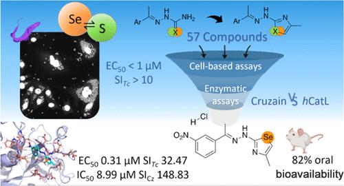 Synthesis and Biological Evaluation of New Chalcogen Semicarbazone (S, Se) and Their Azole Derivatives against Chagas Disease