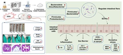 <i>Lactobacillus rhamnosus</i> 1.0320 Postbiotics Ameliorate Dextran Sodium Sulfate-Induced Colonic Inflammation and Oxidative Stress by Regulating the Intestinal Barrier and Gut Microbiota.