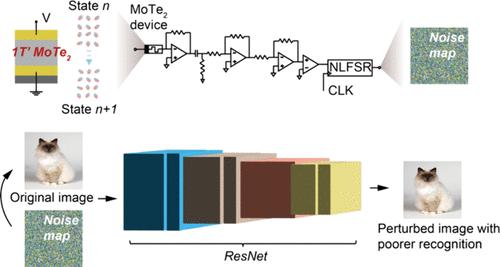 Harnessing Physical Entropy Noise in Structurally Metastable 1T' Molybdenum Ditelluride for True Random Number Generation.