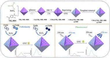 Anchor carbon dots inside NH2-MIL-88B via ship-in-a-bottle strategy for dual signal enhancement in colorimetric-fluorescent sensors