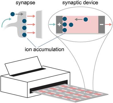 Scalable Fabrication of Neuromorphic Devices Using Inkjet Printing for the Deposition of Organic Mixed Ionic-Electronic Conductor