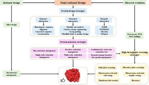 Comprehensive Understanding of Laboratory Evolution for Food Enzymes: From Design to Screening Innovations.