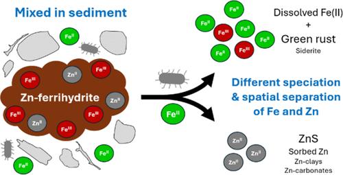 Geochemical Decoupling of Iron and Zinc during Transformation of Zn-Bearing Ferrihydrite in Reducing Sediments.