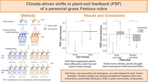 Climate-driven shifts in plant–soil feedback of a perennial grass species