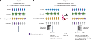 Association and causal mediation between marital status and depression in seven countries