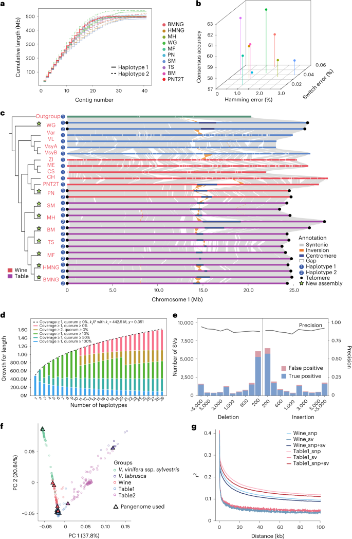 Grapevine pangenome facilitates trait genetics and genomic breeding