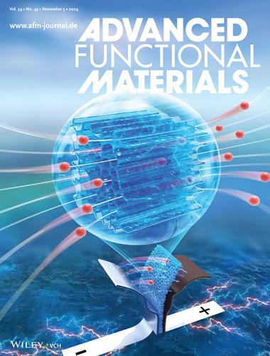 Hierarchically-Structured and Mechanically-Robust Hydrogel Electrolytes for Flexible Zinc-Iodine Batteries (Adv. Funct. Mater. 45/2024)