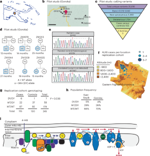 Novel coenzyme Q6 genetic variant increases susceptibility to pneumococcal disease