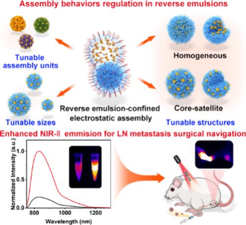 Electrostatic Assembly of Gold Nanoclusters in Reverse Emulsion Enabling Nanoassemblies with Tunable Structure and Size for Enhanced NIR-II Fluorescence Imaging.