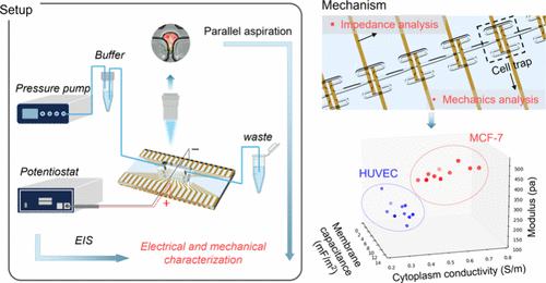 Concurrently Probing the Mechanical and Electrical Characteristics of Living Cells via an Integrated Microdevice