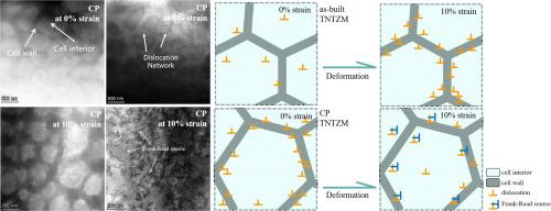 Improving strength and plasticity via pre-assembled dislocation networks in additively manufactured refractory high entropy alloy