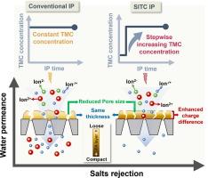 Stepwise increasing TMC concentration in NF membranes fabrication for controlled PA layer thickness, compactness, and charge distribution: Maintaining high permeance, enhancing desalination, and mechanistic insights