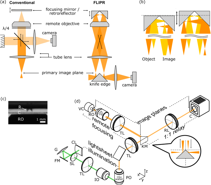 Fast and light-efficient remote focusing for volumetric voltage imaging