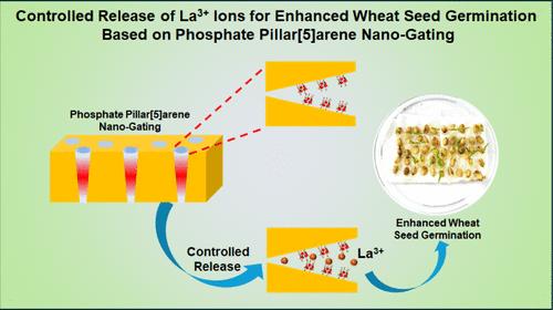 Controlled Release of La3+ Ions for Enhanced Wheat Seed Germination Based on Phosphate Pillar[5]arene Nanogating