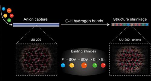 Observing Anion Binding in Single Charge-Neutral Metal-Organic Frameworks through C-H Hydrogen-Bonding Interactions.