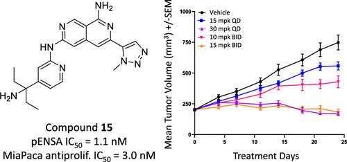 Discovery of Highly Selective Inhibitors of Microtubule-Associated Serine/Threonine Kinase-like (MASTL)