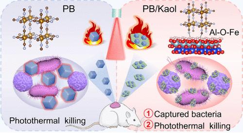 Nanoclay Mediated Two-Pronged Strategy for Infected-Wound Healing