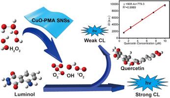 Enhanced chemiluminescence with sub-1 nanometer CuO-PMA nanosheets for the sensitive detection of quercetin