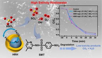 Insights into sulfamethazine degradation by peroxymonosulfate activation using H2 reduced hematite in high-salinity wastewater: Performances and mechanisms