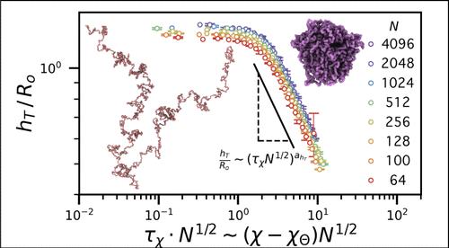 Universal Scaling Behaviors of Interfacial Thickness in Polymer Globules