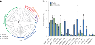 Ancient and versatile CRISPR–Cas nuclease created with ancestral sequence reconstruction