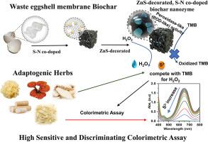 High Sensitive and Discriminating Colorimetric Assay for S2- Overload in Adaptogenic Herbs Utilizing ZnS Nanoparticle-Enhanced S, N-Doped Eggshell Membrane-Derived Biochar