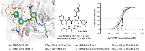 Structure-Based Design of Covalent SARS-CoV-2 Papain-like Protease Inhibitors