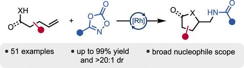 Rh(III)-Catalyzed Alkene Anti Nucleoamidation to Access Diverse Heterocycles