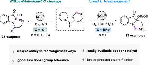 Direct Synthesis of N-Fused Indoles Enabled by Copper-Catalyzed Aerobic Oxygenative Rearrangement