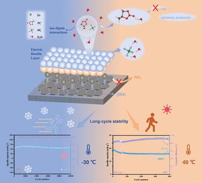 Strong Ion-Dipole Interactions for Stable Zinc-Ion Batteries with Wide Temperature Range