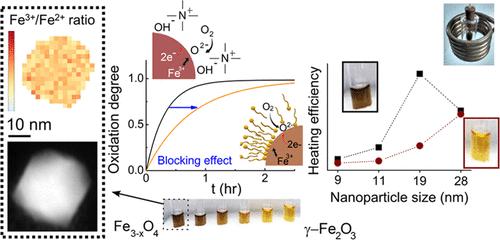 Oxidation Kinetics of Magnetite Nanoparticles: Blocking Effect of Surface Ligands and Implications for the Design of Magnetic Nanoheaters