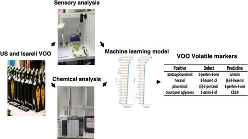 Relationships Between Chemical Compounds and Sensory Properties of Virgin Olive Oil in the US and Israel: Development of a Prediction Model for Defects