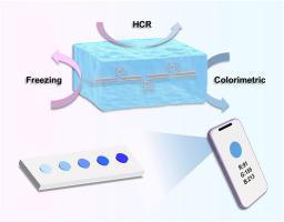 Highly Responsive Cryogel Based Sensing Platform by Encapsulating Programmed DNA for Colorimetric Detection of 17β-estradiol