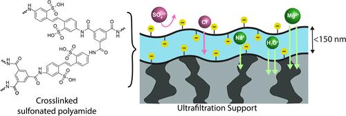 Ultra-Thin Cation Exchange Membranes: Sulfonated Polyamide Thin-Film Composite Membranes with High Charge Density