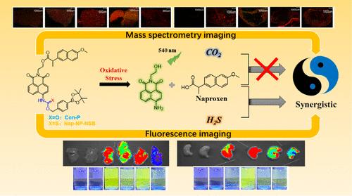 Dual-Modality Accurate Visualization of Drug Synergy Based on Mass Spectrometry and Fluorescence Imaging.