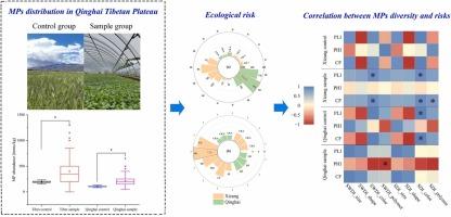 Occurrence characteristics and ecological impact of agricultural soil microplastics in the Qinghai Tibetan Plateau, China