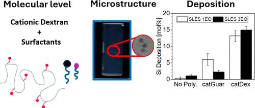 Deposition of Nanometric Polymer-Surfactant Complexes Formed by Cationic Dextran: A Path to Sustainable Formulations.