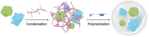 A Multi-Enzyme Nanocascade to Target Disease-Relevant Metabolites