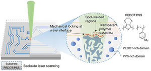 Laser-Induced Highly Stable Conductive Hydrogels for Robust Bioelectronics