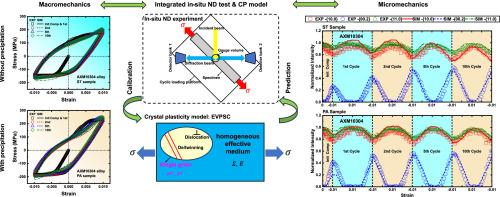 Precipitation-strengthened micromechanical behaviors of magnesium alloy under cyclic loading