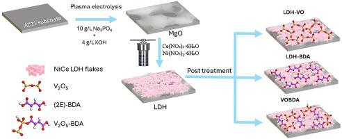 Developing an efficient anticorrosive system through advanced modification of plasma-electrolyzed MgO with CeNiLDH complexed with V₂O₅ nanoparticles and (2E)-But-2-enedioic acid