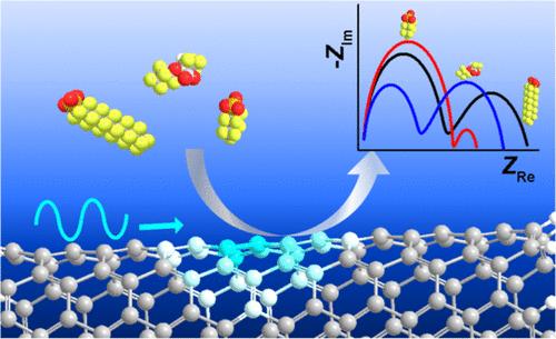 Chemi-Impeditive Sensing Platform Based on Single-Walled Carbon Nanotubes.