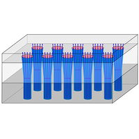 Inducing topological flat bands in bilayer graphene with electric and magnetic superlattices