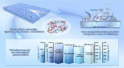 Healable, Recyclable, and Ultra-Tough Waterborne Polyurethane Elastomer Achieved through High-Density Hydrogen Bonding Cross-Linking Strategy