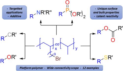 Functionalized Polypropylenes: A Copolymerization and Postmodification Platform