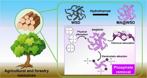 Utilizing Waste Biomass from Agricultural and Forestry Sustainable Resources: Biomass Conversion to Functional Adsorbent Material for Efficient Removal of Total Phosphate in Practical Water