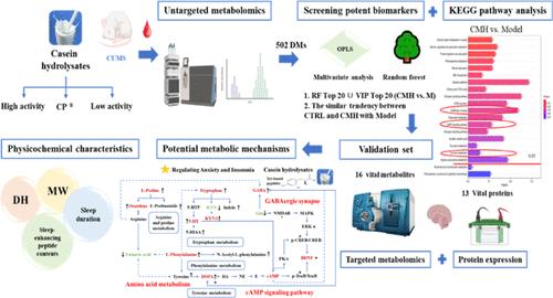 Metabolomic Analysis Reveals the Linkage between Sleep-Enhancing Effects and Metabolite Biomarkers and Pathways of Different Casein Hydrolysates in Chronic Unpredictable Mild Stressed Mice.