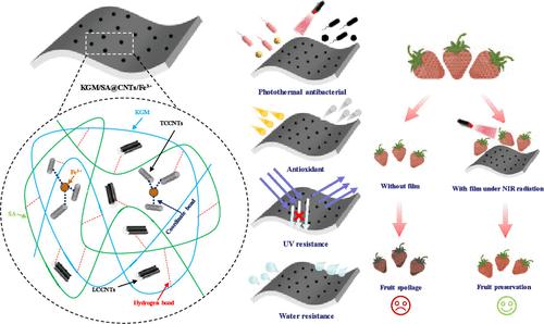 Enhancing Strawberry Freshness: Multifunction Sustainable Films Utilizing Two Types of Modified Carbon Nanotubes for Photothermal Food Packaging.