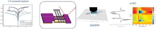 Elucidation of Switching Mechanisms in Memristive Junctions Integrating a Iron(II)-Ter Pyridine Diazoted Complex